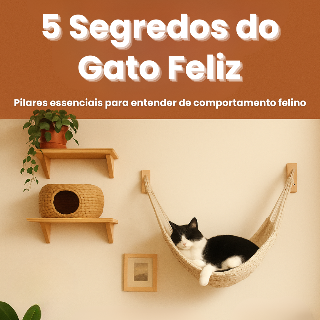 5 Segredos do Gato Feliz